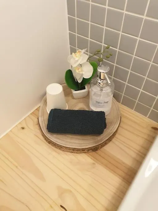 The Duplex Annecy Tgv; Vielle Ville Apartment