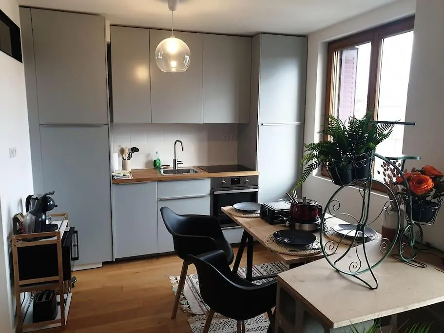 Apartment The Duplex Annecy Tgv; Vielle Ville France