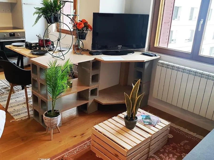 Apartment The Duplex Annecy Tgv; Vielle Ville