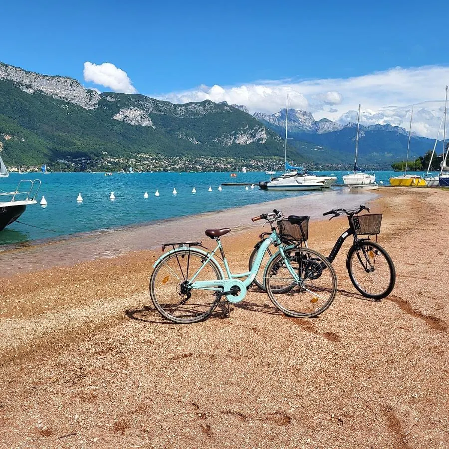 The Duplex Annecy Tgv; Vielle Ville 프랑스